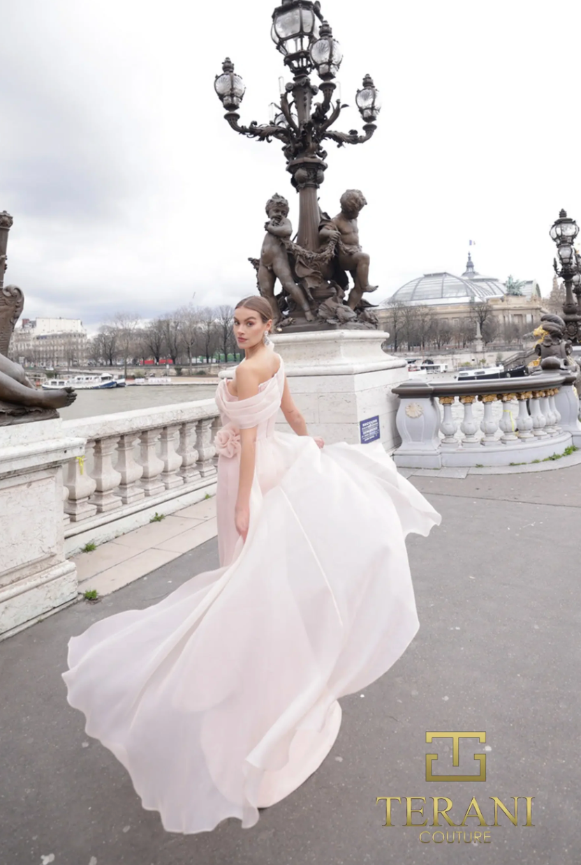 Terani Couture Evening Gown