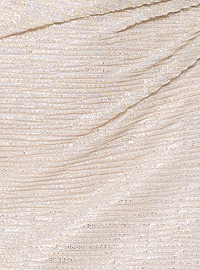 Betsy & Adam Bethany Crinkle Metallic Rouched Floor Length Dress