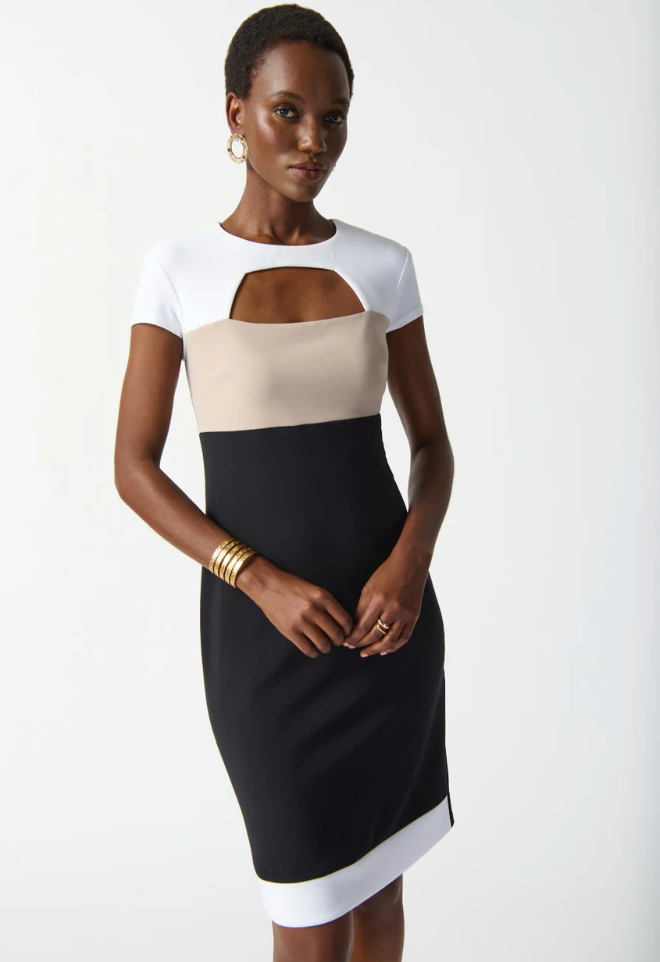 Joseph Ribkoff Dress