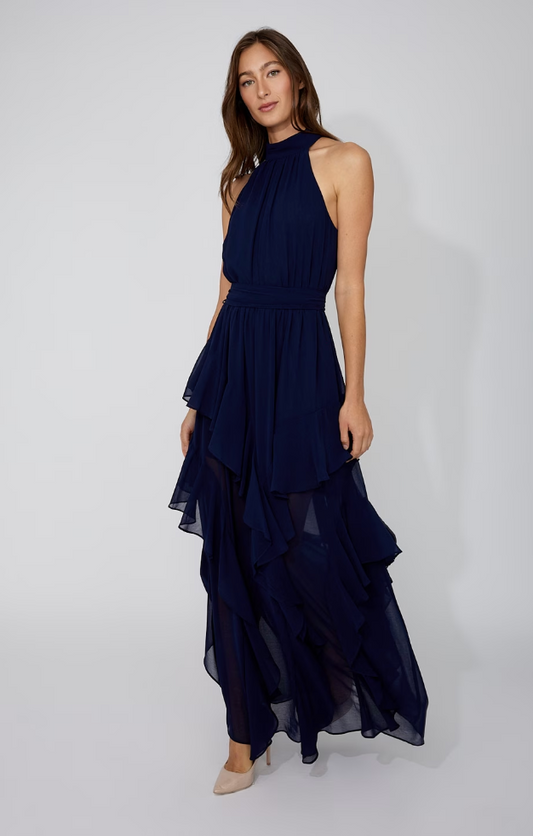 Frank Lyman A-Line Maxi Dress