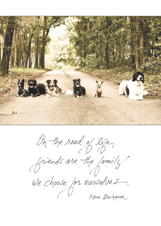 Bonair Daydreams - 564b: on the Road of Life, Friends Are the Family We Choose for Ourselves. - Edna Buchanan