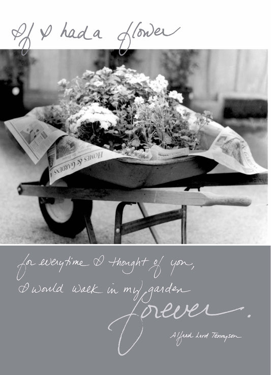Bonair Daydreams - 253b: If I Had a Flower for Everytime I Thought of You, I Would Walk in My Garden Forever. - Alfred Lord Tennyson