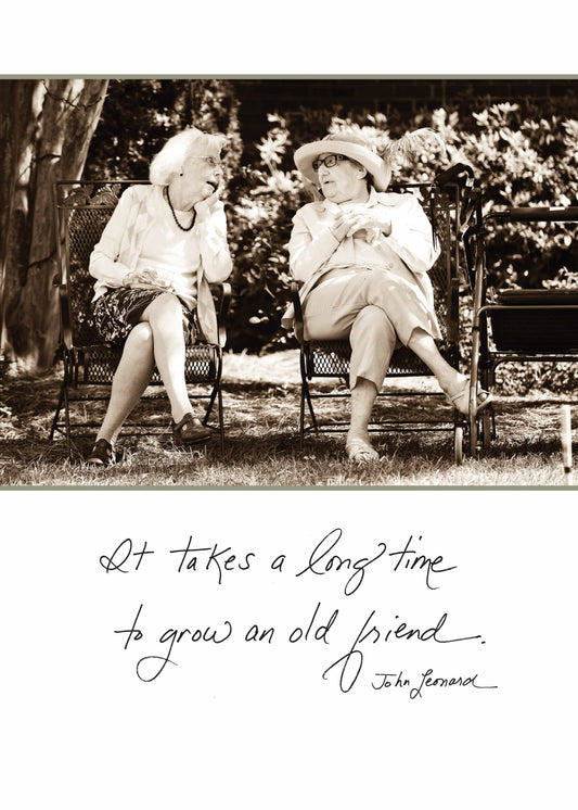 Bonair Daydreams - 'It Takes a Long Time to Grow an Old Friend' Friendship Card