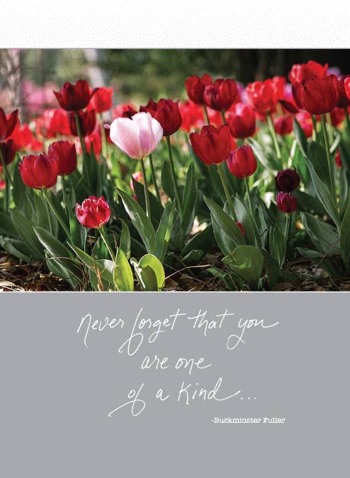Bonair Daydreams - 633B: Never forget that you are one of a kind. -Buckminster