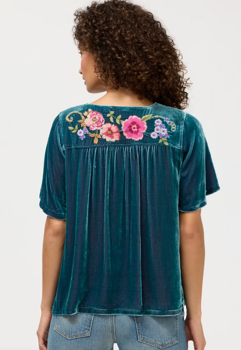 Johnny Was Dragonfly Velet Yoke Blouse