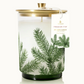 Frasier Fir Heritage Medium Pine Needle Luminary
