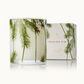 Fraiser Fir Small Pine Needle Luminary