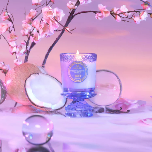 VOLUSPA Cherry Blossom Bubble Boxed Candle