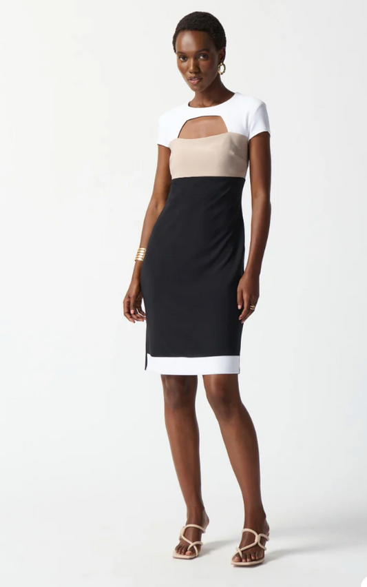 Joseph Ribkoff Dress