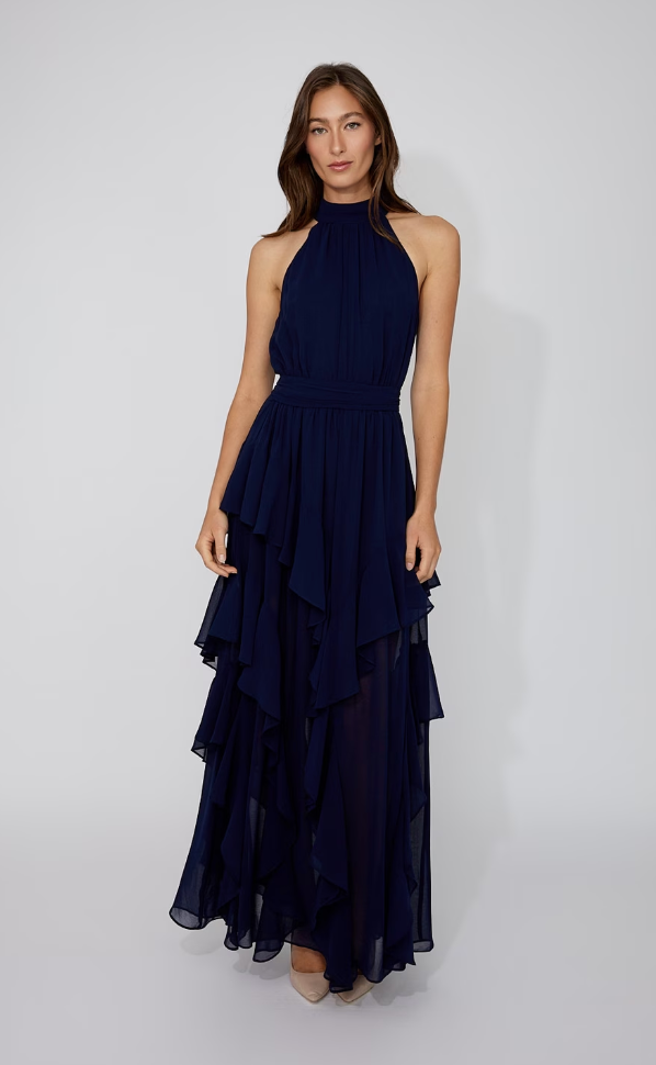 Frank Lyman A-Line Maxi Dress
