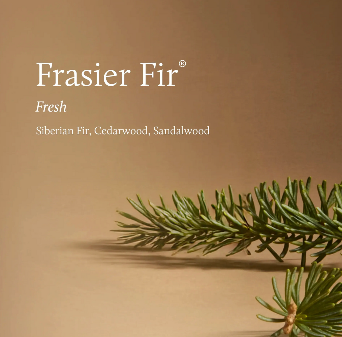 Frasier Fir Tidings 13 oz Poured Candle