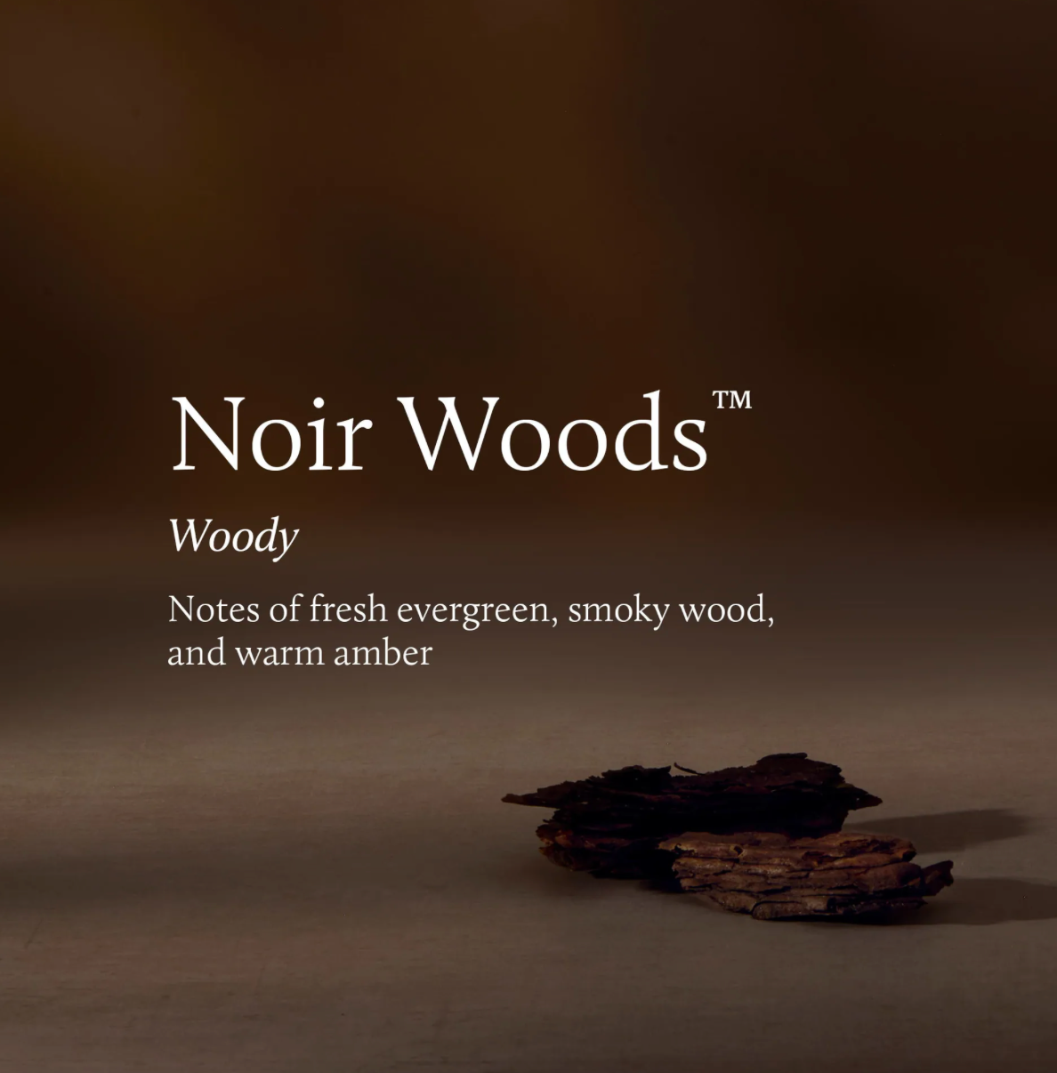 Noir Woods Petite Reed Diffuser