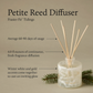 Frasier Fir® Tidings Petite Reed Diffuser